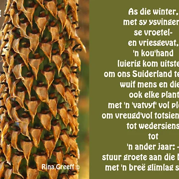Artwork thumbnail, Groete! by Rina Greeff