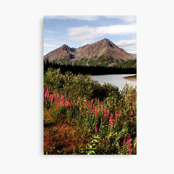 Summer Along the Nenana River Canvas Print