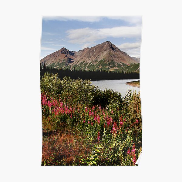 Summer Along the Nenana River Poster