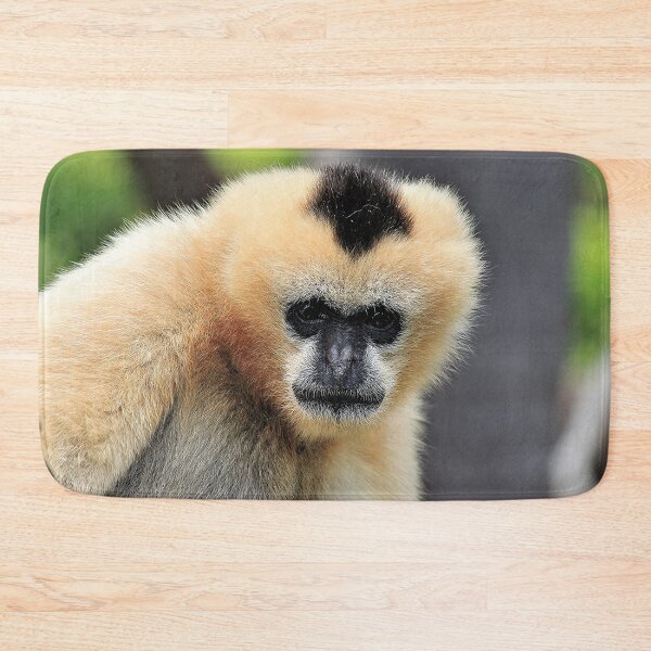 Item preview, White Cheeked Gibbon designed and sold by Linda  Hammond.
