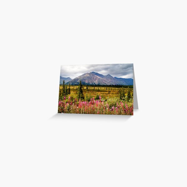 Summer Fireweed Along the Denali Highway Greeting Card