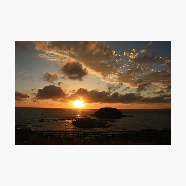 Item preview, "The Nobbies at Sunset" designed and sold by kitkat73.