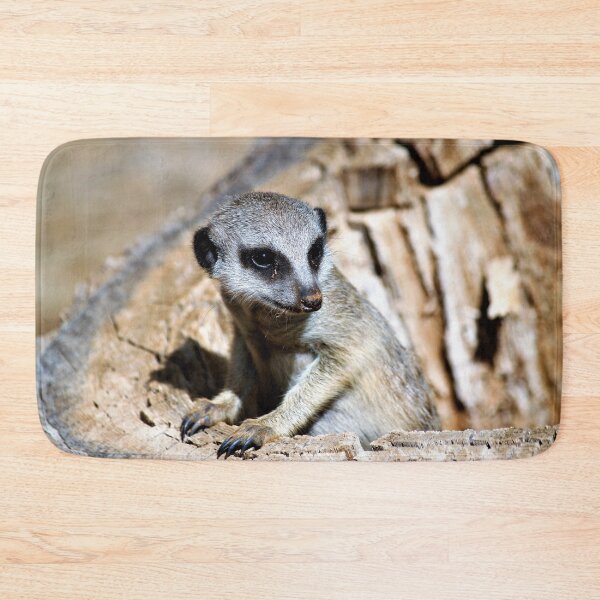 Item preview, Meerkat from Monarto Zoo designed and sold by Linda Hammond.
