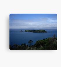 Coromandel Canvas Print