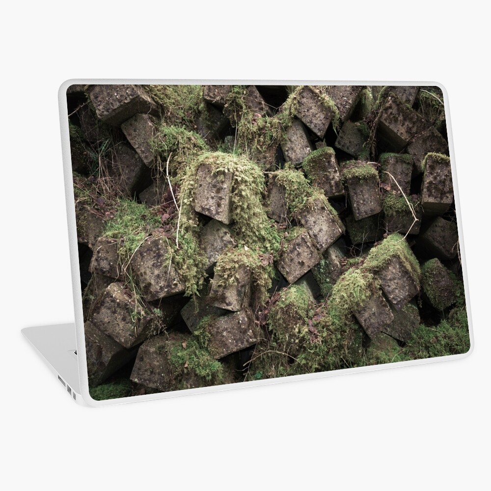 Item preview, Laptop Skin designed and sold by ShinyPhoto.