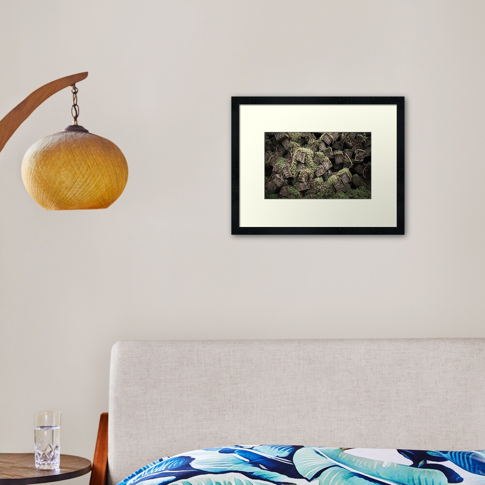 Reclamation II Framed Art Print