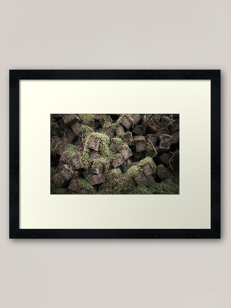 Alternate view of Reclamation II Framed Art Print