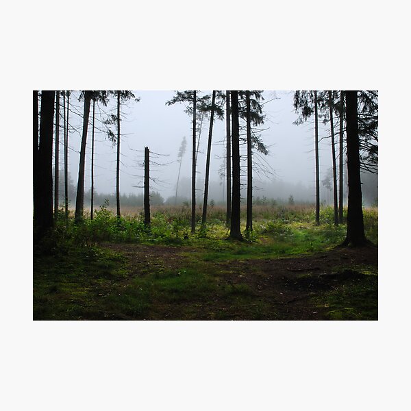 Fog and Fog from my summer house district Photographic Print