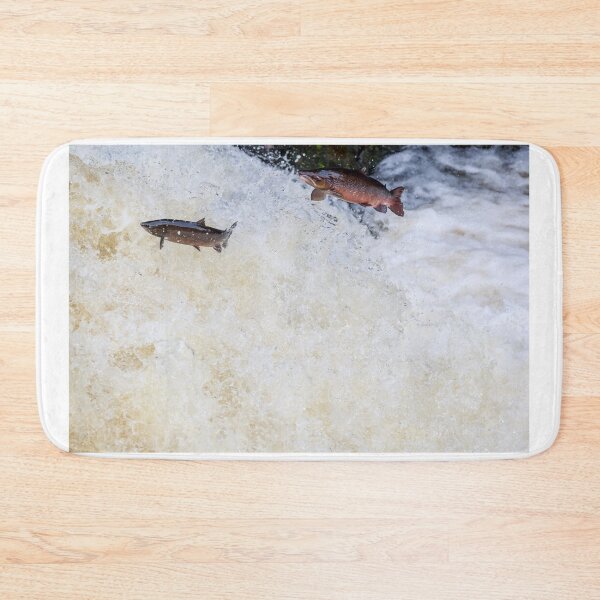 Item preview, Double salmon fish leaping designed and sold by chanonry.