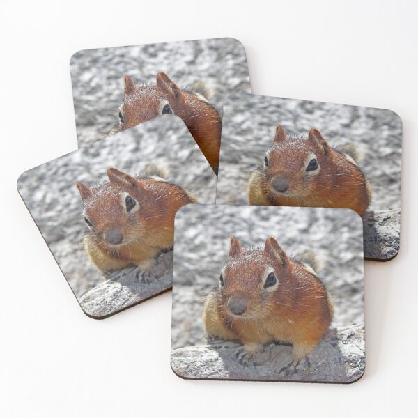 Item preview, Chipmunk  designed and sold by Linda Sannuti.