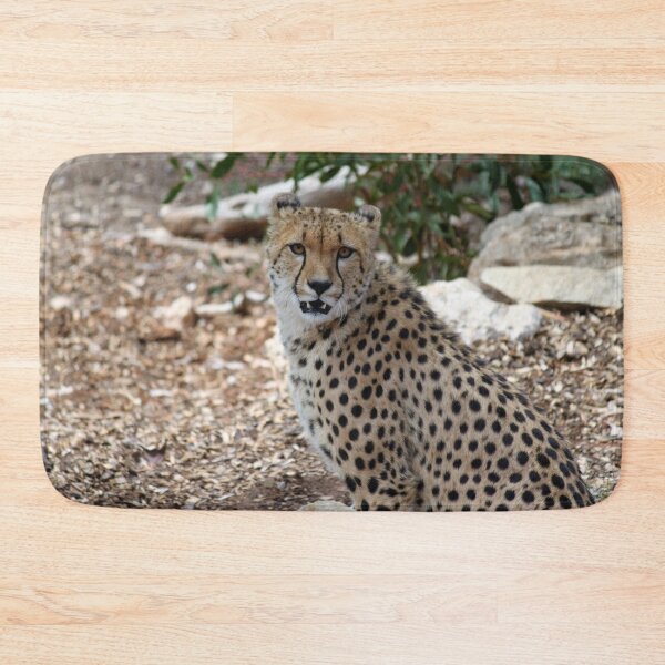 Item preview, Cheetah Monarto Zoo designed and sold by Linda Hammond.