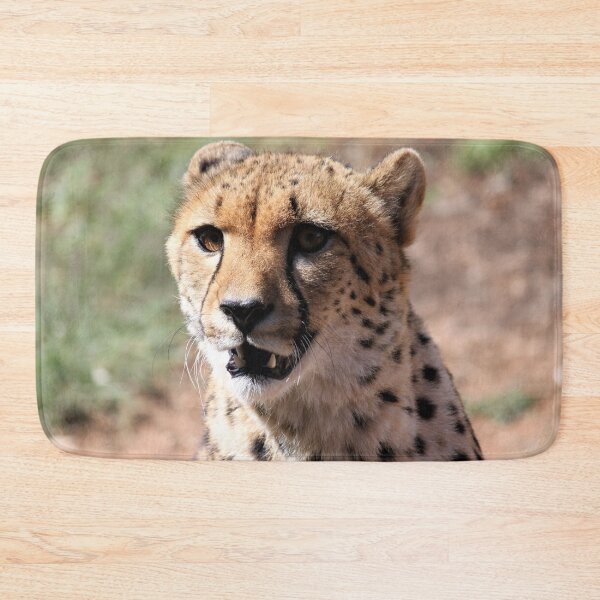 Item preview, Cheetah Monarto Zoo designed and sold by Linda Hammond.