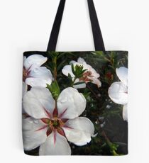 Cheery Tote Bag