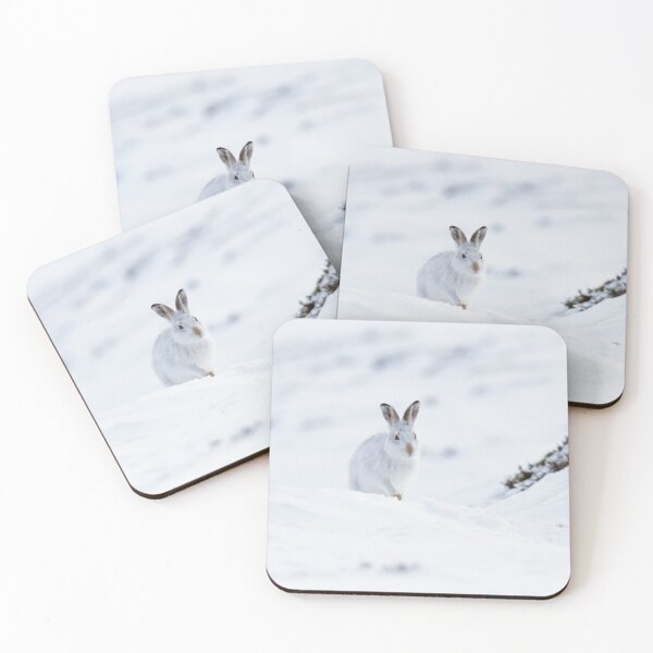 Item preview, white mountain hare designed and sold by chanonry.
