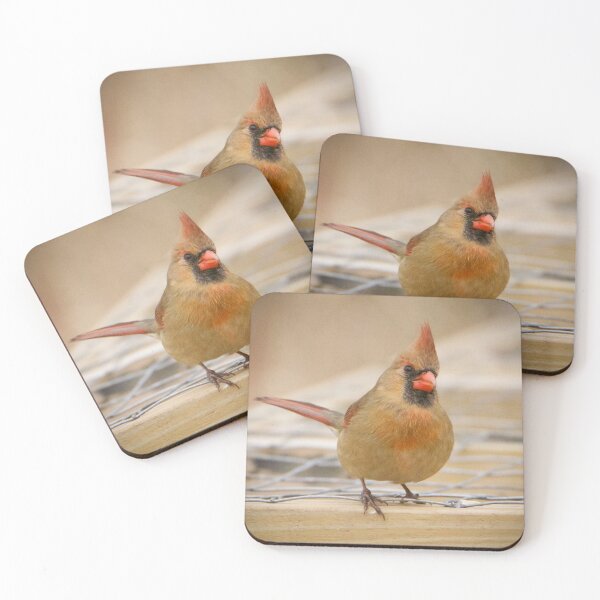 Item preview, female cardinal designed and sold by slgphotography.
