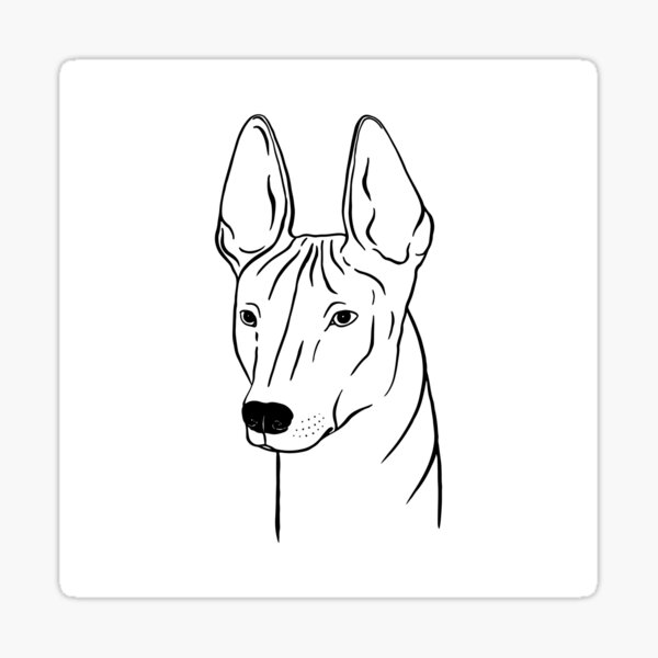 Item preview, Xoloitzcuintli (blanco y negro) designed and sold by illucalliart.
