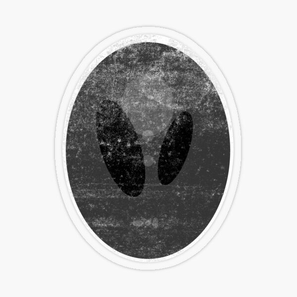 Shepp-Logan Phantom Transparent Sticker