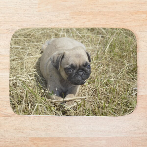 Item preview, Little pug puppy in the grass designed and sold by MOKA META.
