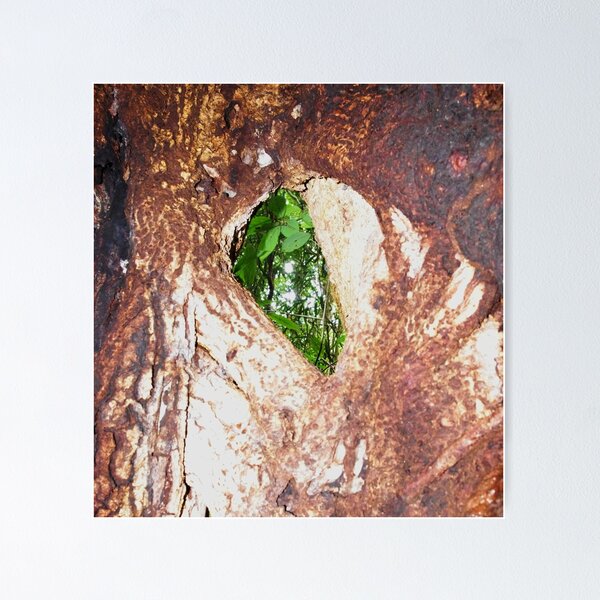 Item preview, Natures Window designed and sold by LESLEY BUtler.