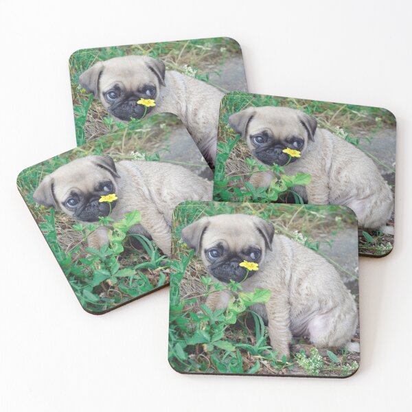 Item preview, Cute pug puppy with a flower designed and sold by MOKA META.