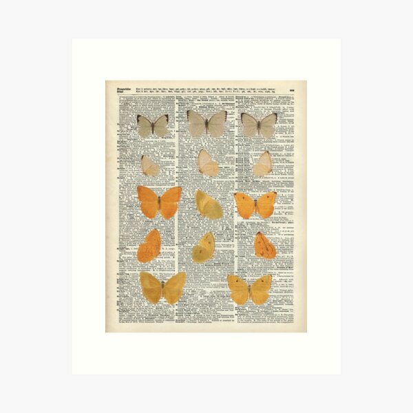 Yellow butterflies over encyclopedia book page,Monarch Butterfly Dictionary Art Art Print