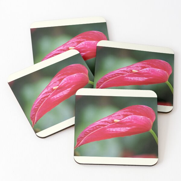 Item preview, Coy - Rose Red Anthurium designed and sold by Kerryn Madsen-Pietsch.