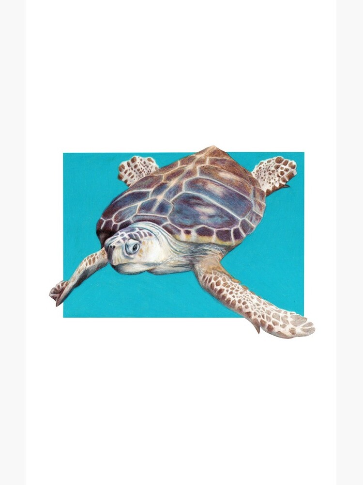 Loggerhead Sea Turtle Art by Artist Sherrie Spencer by serrynawolfe