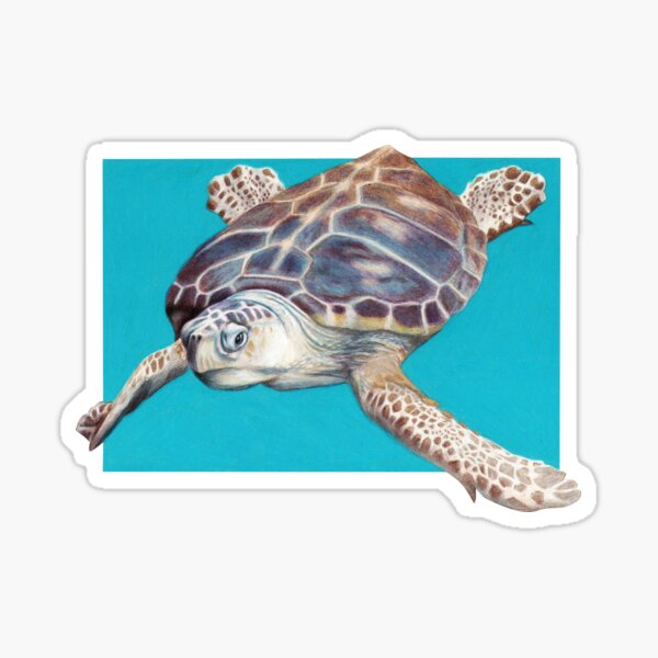 Loggerhead Sea Turtle Art by Artist Sherrie Spencer Sticker