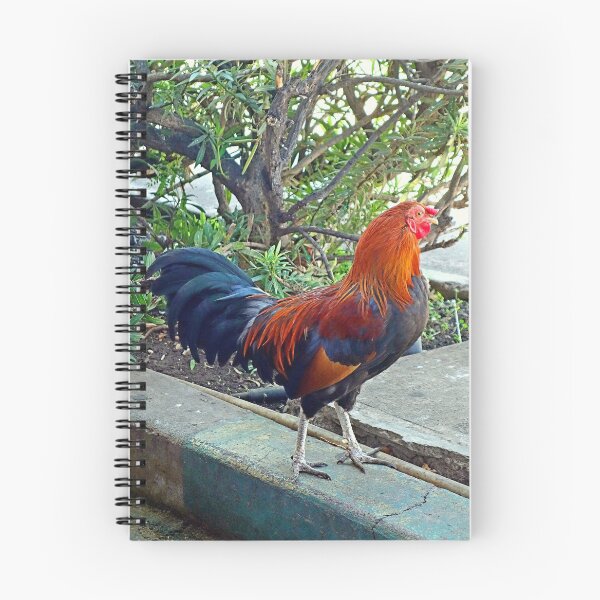 Item preview, Kihei Cafe Mascot  designed and sold by Robert Meyers-Lussier.