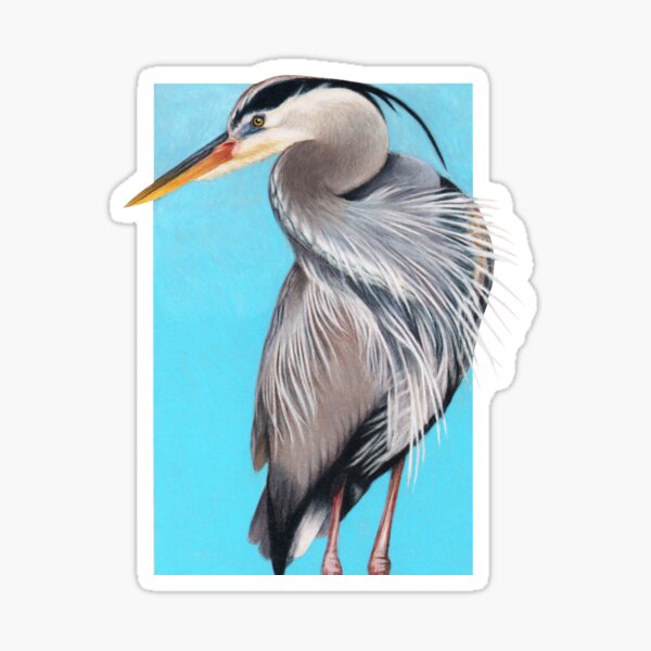 Great Blue Heron art by Wildlife Artist Sherrie Spencer Sticker