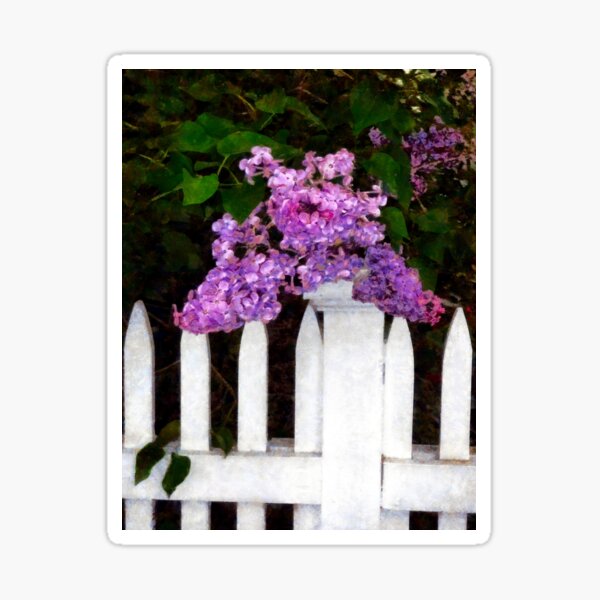 Item preview, Purple Lilacs for Mother's Day 1 designed and sold by JanineRileyArt.