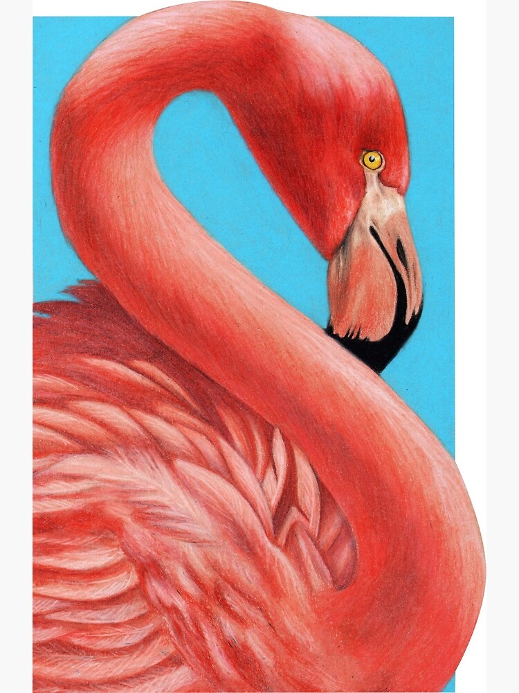 Flamingo art by Wildlife Artist Sherrie Spencer by serrynawolfe
