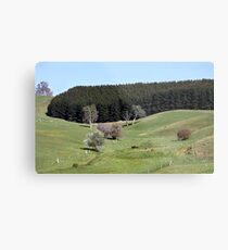 ~ Chain of Ponds ~ Metal Print