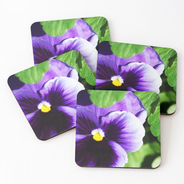 Perky Purple Pansy Coasters (Set of 4)