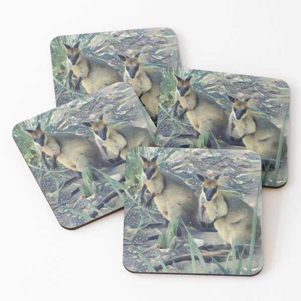 Item preview, Black Footed Rock Wallabies designed and sold by Heathermarie321.