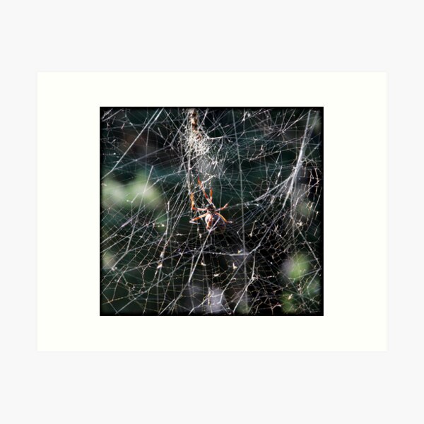 Item preview, ~ Orb Spider ~ designed and sold by Leeo.