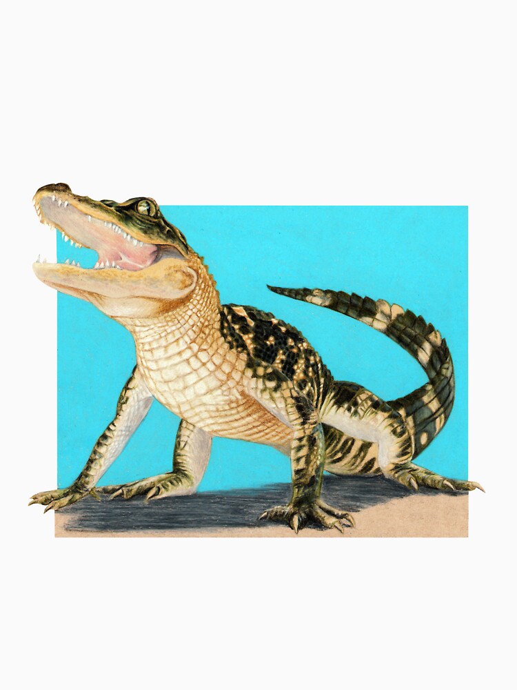 Baby Alligator Smiling! art by Wildlife Artist Sherrie Spencer by serrynawolfe