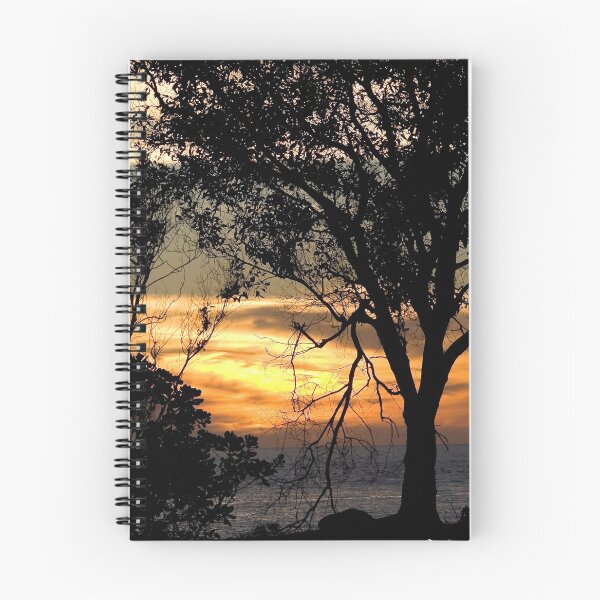 Item preview, Sunset through the trees designed and sold by mhall.