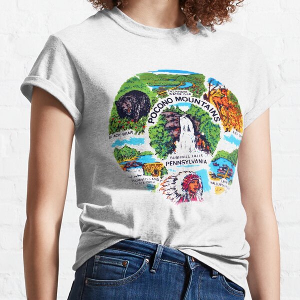 Pocono Mountains, Bushkill Falls, Pennsylvania, Delaware Water Gap, Lake Wallenpaupack, Promised Land State Park Classic T-Shirt
