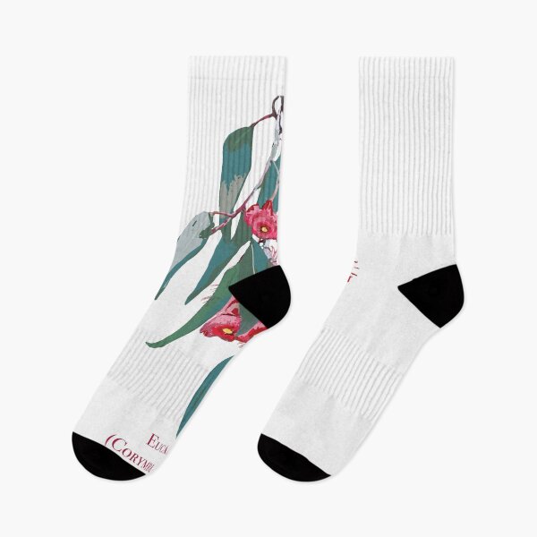 Item preview, Eucalyptus (Corymbia ficifolia) design by Chrissy Wild  designed and sold by ChrissyWild.