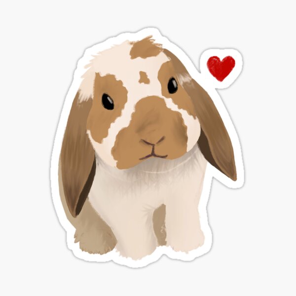 Holland Lop Barry w/ heart Sticker