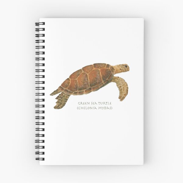 Item preview, Green Sea Turtle (Chelonia mydas)  by Chrissy Wild designed and sold by ChrissyWild.