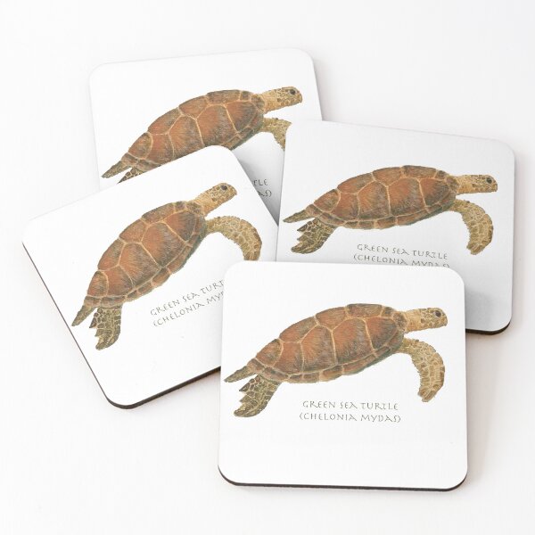 Item preview, Green Sea Turtle (Chelonia mydas)  by Chrissy Wild designed and sold by ChrissyWild.