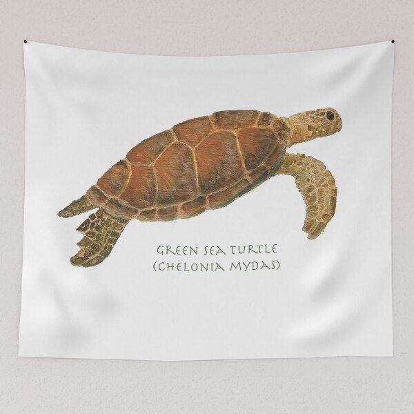 Item preview, Green Sea Turtle (Chelonia mydas)  by Chrissy Wild designed and sold by ChrissyWild.