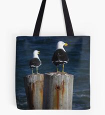 Pacific Gulls (Larus pacificus) - Stony Point, South Australia Tote Bag