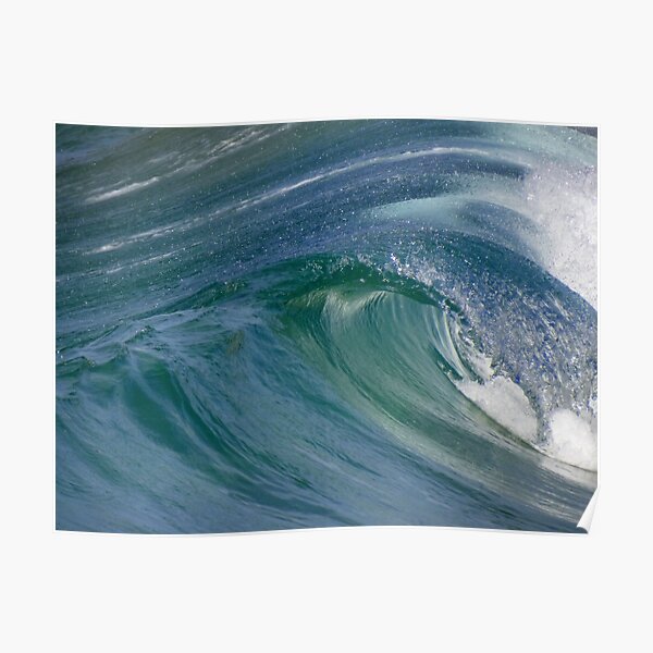Curvaceous Water Poster