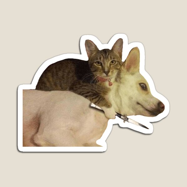 evil cat trying to kill poor dog Magnet