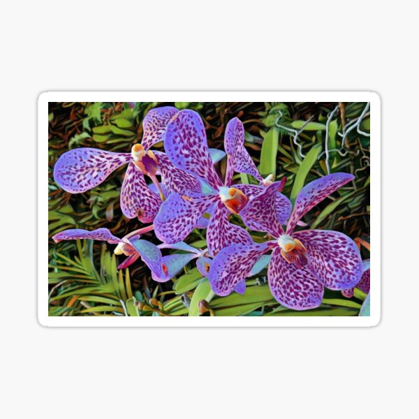 Item preview, Dreamy Art Orchids designed and sold by Linda Walsh.