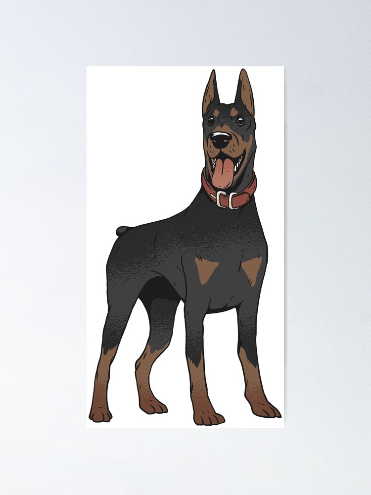 Doberman top dog small