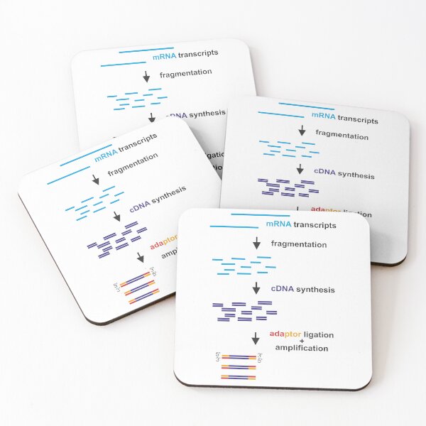 Item preview, cDNA library designed and sold by RosArt100.